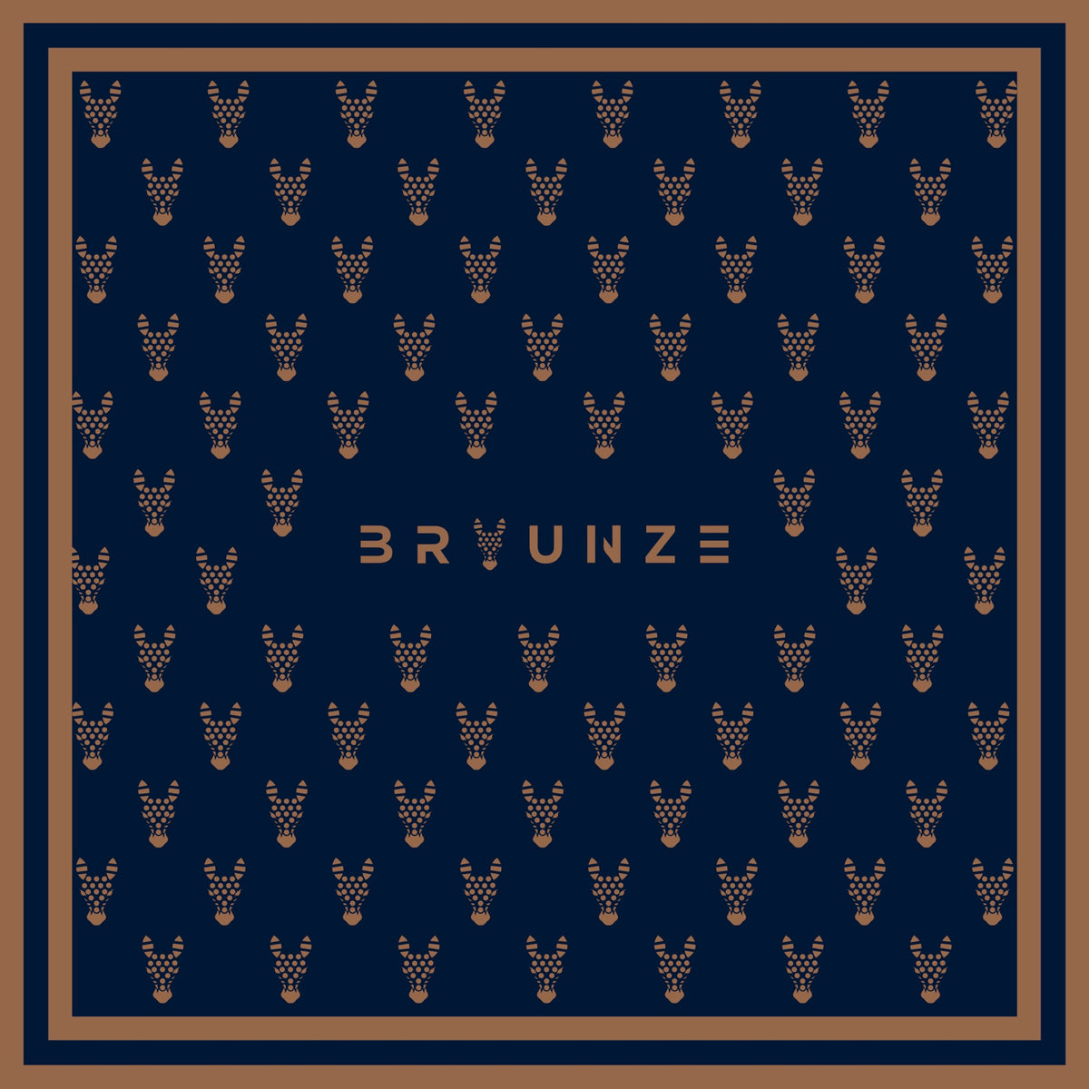 BRAUN HEADS NAVY