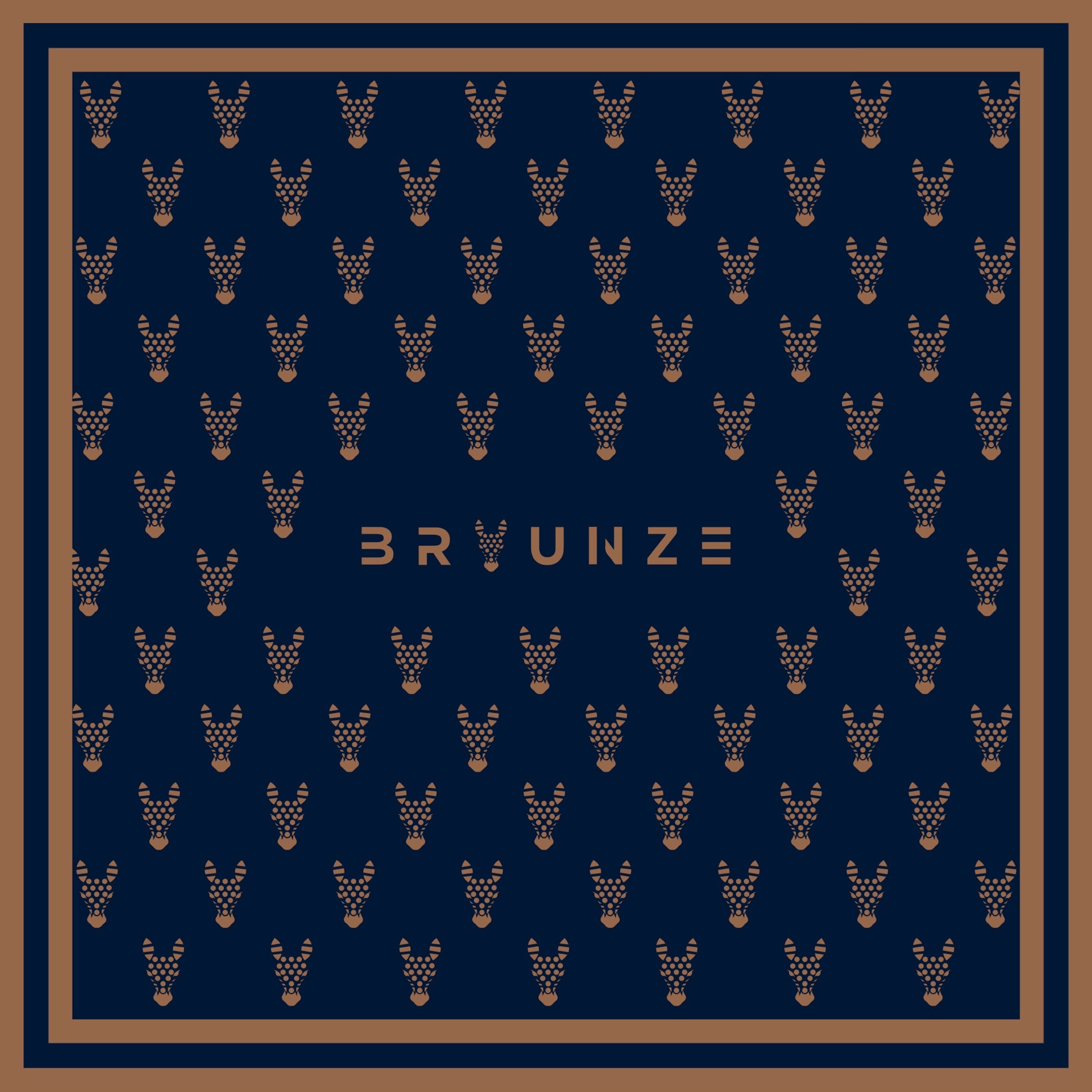 BRAUN HEADS NAVY