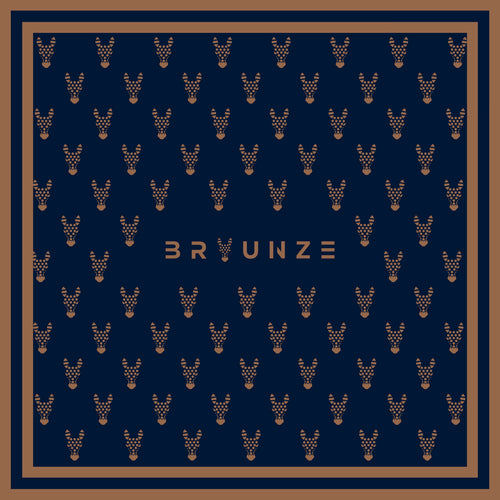 BRAUN HEADS NAVY